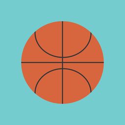 篮球运动信息化管理平台设计与应用，篮球信息app